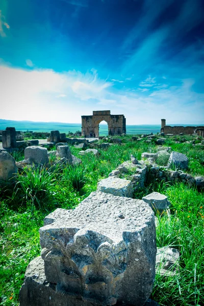 Volubilis Antigua Ciudad Romana Marruecos Mejor Sitio Arqueológico Romano Norte — Foto de Stock