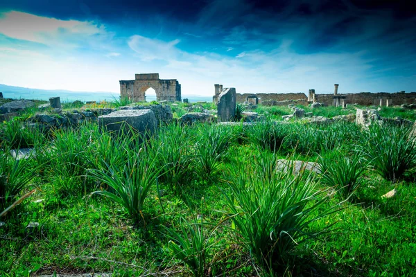 Volubilis Antiga Cidade Romana Marrocos Melhor Sítio Arqueológico Romano Norte — Fotografia de Stock