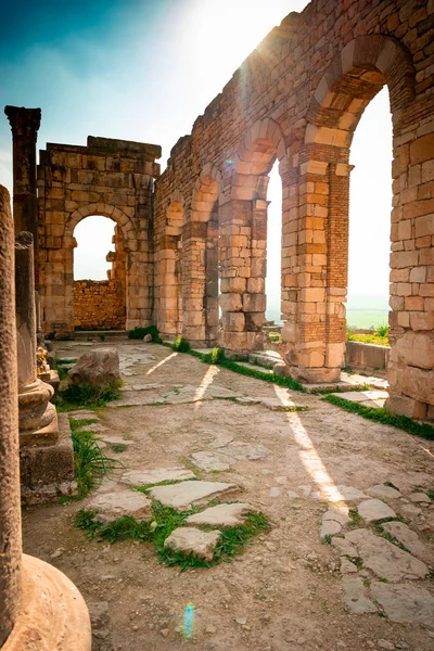 Volubilis Antigua Ciudad Romana Marruecos Mejor Sitio Arqueológico Romano Norte — Foto de Stock