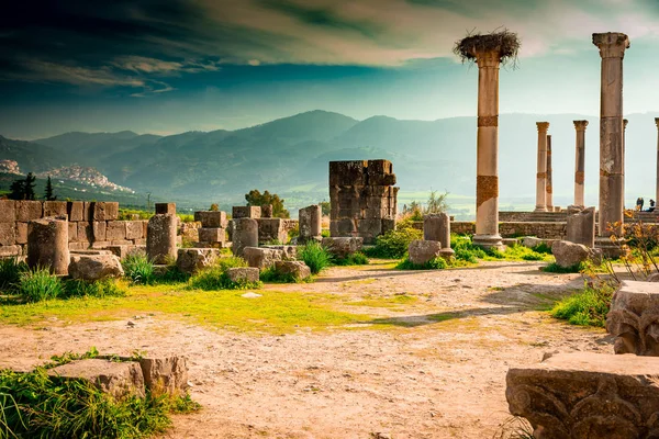 Volubilis Antigua Ciudad Romana Marruecos Mejor Sitio Arqueológico Romano Norte — Foto de Stock