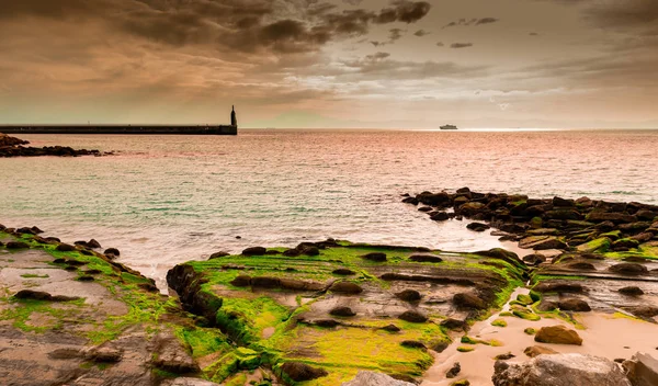 Tarifa-Küste — Stockfoto