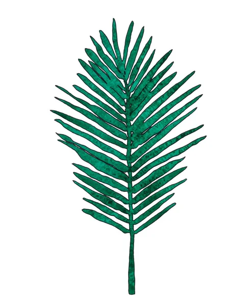 Vektor Aquarell Palmblätter — Stockvektor