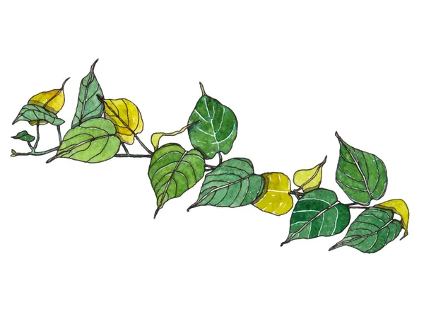 Vector Aquarel Palmbladeren — Stockvector