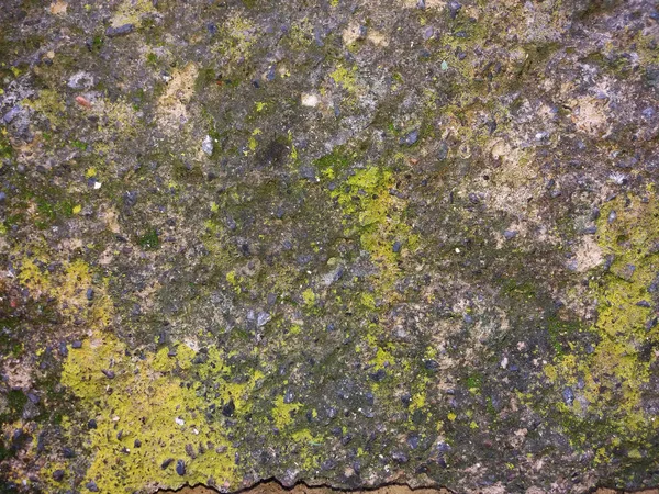 Eski paslı çimento duvar