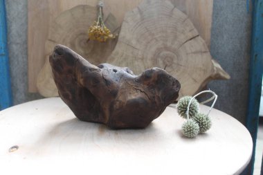 Brown dalgaların karaya attığı odun parçası boğa kürek şeklinde yandı.