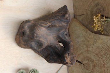 Brown dalgaların karaya attığı odun parçası boğa kürek şeklinde yandı.