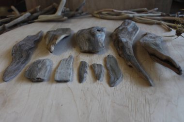 Sanat ve dekorasyon için dalgaların karaya attığı odun parçaları