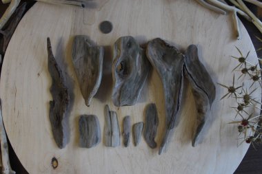 Sanat ve dekorasyon için dalgaların karaya attığı odun parçaları