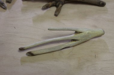 Sanat ve dekorasyon için kuş pençe şeklinde dalgaların karaya attığı odun sopa