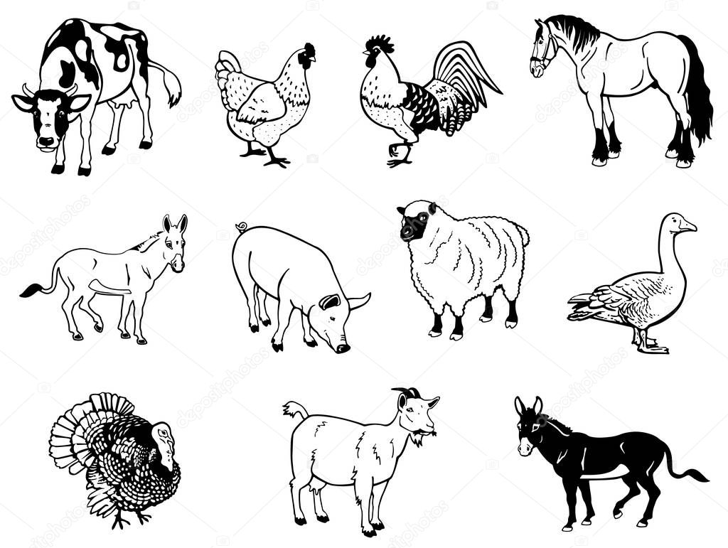 Vector illustration of farm animals in black and white