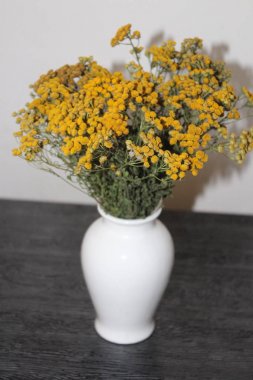 Beyaz vazodaki sarı tanemsi çiçekler.