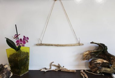 Rüya yakalayıcı veya duvar asılı Driftwood sanat projesi