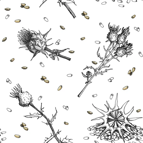 Illustrazione Botanica Cardo Mariano Acquerello Inchiostro Motivo Senza Cuciture Stampa — Foto Stock
