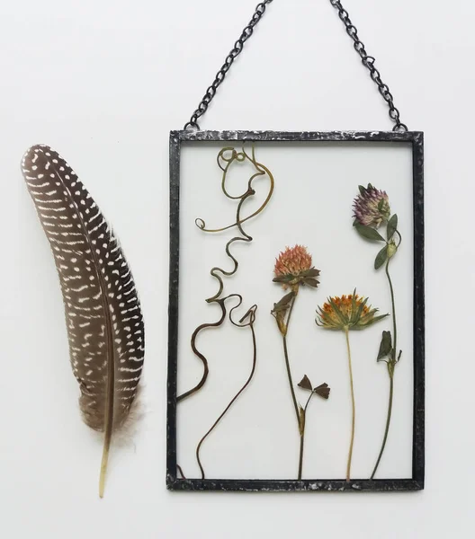 Oprawione Kwiaty Prasowane Techniką Tiffany Witrażu — Zdjęcie stockowe