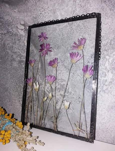 Rámované Lisované Květiny Tiffany Technika Barevném Skle — Stock fotografie