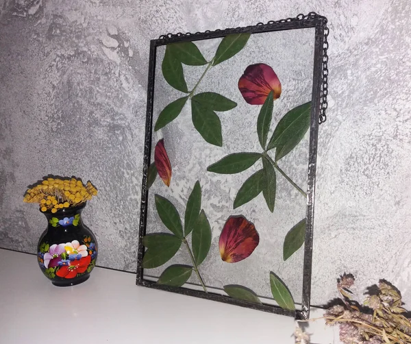 Framed Pressed Flowers Tiffany Technique Stained Glass — Stock Photo, Image