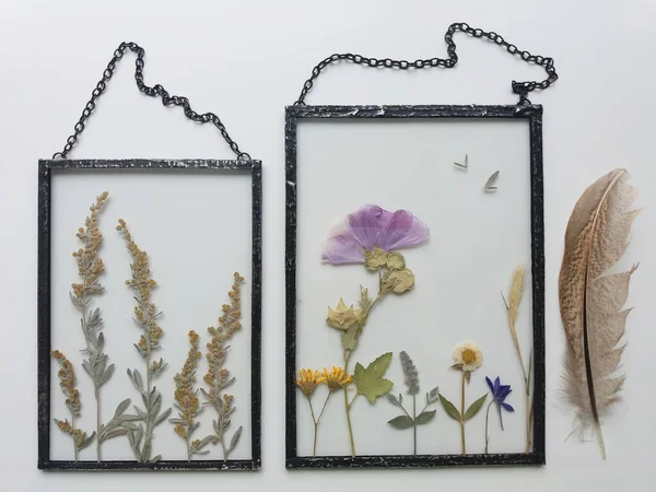 Keretezett Préselt Virág Tiffany Technikában Festett Üvegben — Stock Fotó