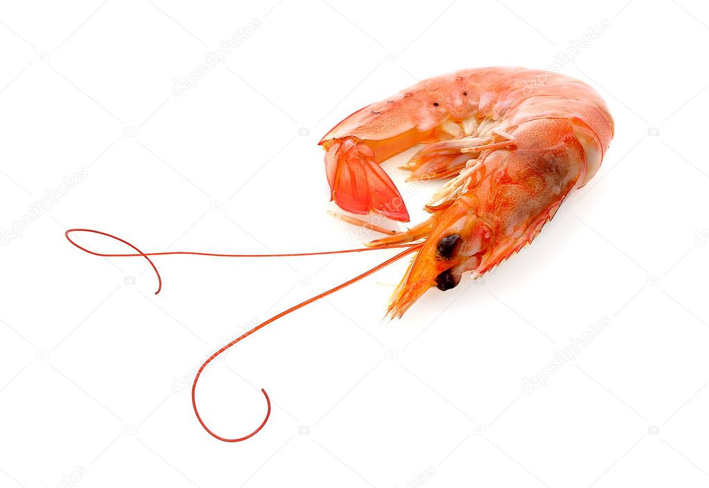 white boiled shrimp, Shrimp mustache isolated on white background.