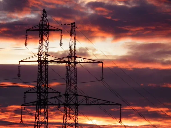 Electric Masts Bold Sunset — Stockfoto