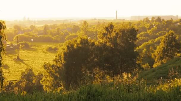 Ducha de sol ou chuveiro de sol, fenômeno meteorológico: chuva cai enquanto o sol está brilhando. Chuveiro de sol no fundo de árvores de ramos verdes e prado — Vídeo de Stock