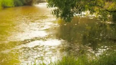 Yağmur ormanı içinden akan dere ile. Yağmur damlaları damla su Nehri daire içine