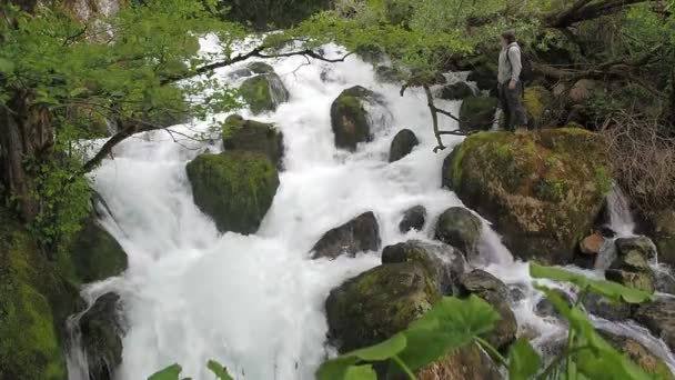 L'uomo ammira la cascata in una foresta tropicale umida. Ruscello tempestoso di un fiume di montagna. L'acqua pulita sale e le schiume. Un flusso tempestoso di punta con uno spray video piatto al rallentatore — Video Stock