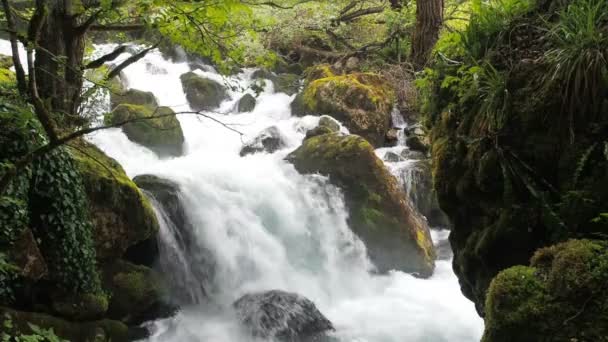 Vattenfall i en fuktig tropisk skog. Stormiga ström av en mountain river. Rent vatten stiger upp och skum. En stormig ström av spike med en spray slow motion platt video — Stockvideo