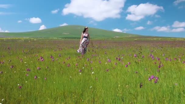 Jeune belle femme heureuse restant dans la prairie robe longue flottant sur le vent. Jolie fille souriante en couronne de fleurs profitant d'un paysage naturel. Vidéo de trépied — Video