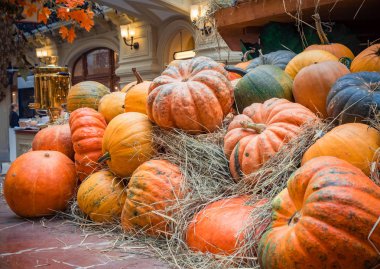 Birçok büyük turuncu kabak saman içinde yalan. Sonbahar sokak dekorasyon. Kabaklar tatil için hazırlanan sonbahar hasat.