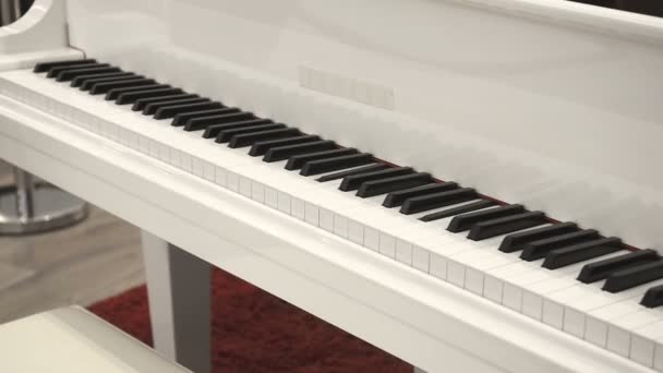 在没有钢琴家的情况下自演奏白色钢琴。弹钢琴本身。特写边框视图 — 图库视频影像