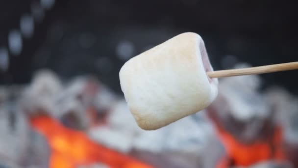 Man frietjes marshmallows op kolen buiten. Marshmallow brochettes is gebakken op de brandstapel. Geroosterde marshmallows op hete kolen. Een marshmallow dat heeft is geroosterd boven een open vuur. Een marshmallow roosteren — Stockvideo