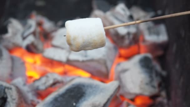 Mannen frites marshmallows på kolen utomhus. Marshmallow på spett är stekt på bål. Rostade marshmallows på glödande kol. En marshmallow som har varit rostade över öppen eld. Rosta en marshmallow — Stockvideo
