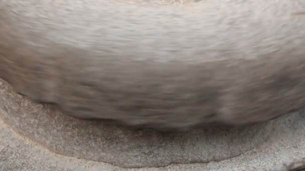 Zbliżenie footage średniowiecznych korbka millstone mielenia pszenicy. Dawnym młynie kamień ręcznie Quern z ziarna. Człowiek Miele ziarna na mąkę z pomocą kamień młyński. Męskie ręce — Wideo stockowe