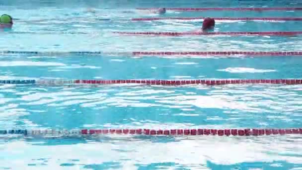 Pessoas ativas nadam ao ar livre em uma piscina esportiva no inverno. Nadar na bacia ao ar livre no inverno. Homens nadam em estilo peito — Vídeo de Stock