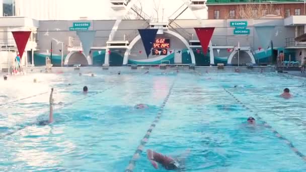 Moskva, Ryssland, 16 februari 2019: Aktiva människor bada utomhus i en sport pool Chayka i vinter. Simning i öppet lufta basin vintern. Män och kvinnor bada i bröstsim stil — Stockvideo