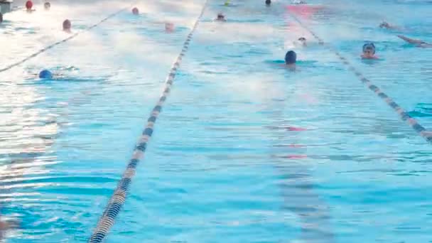 Moscú, Rusia, 16 de febrero de 2019: Personas activas nadan al aire libre en una piscina deportiva Chayka en invierno. Nadar en el lavabo al aire libre en invierno. Los hombres y las mujeres nadan en el estilo de pecho — Vídeos de Stock