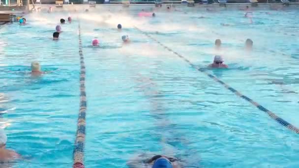 Moskou, Rusland, 16 februari 2019: Actieve mensen zwemmen buiten in een sport-zwembad Chayka in winter. Zwemmen in de openlucht bekken winter. Mannen en vrouwen zwemmen in schoolslag stijl — Stockvideo