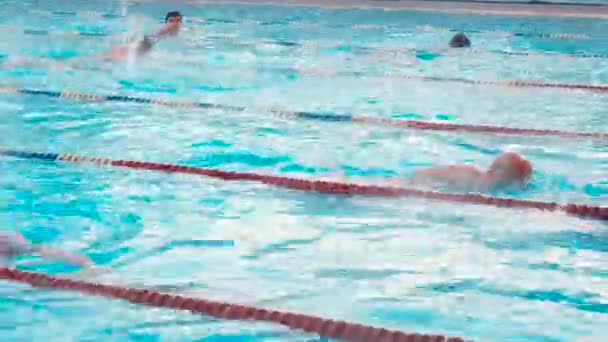 Mosca, Russia, 16 febbraio 2019: Le persone attive nuotano all'aperto in una piscina sportiva Chayka in inverno. Nuotare nel bacino all'aperto durante l'inverno. Uomini e donne nuotano a rana — Video Stock