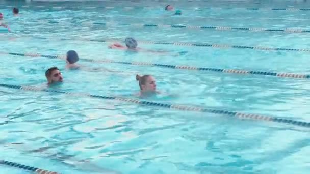 Moskou, Rusland, 16 februari 2019: Actieve mensen zwemmen buiten in een sport-zwembad Chayka in winter. Zwemmen in de openlucht bekken winter. Mannen en vrouwen zwemmen in schoolslag stijl — Stockvideo