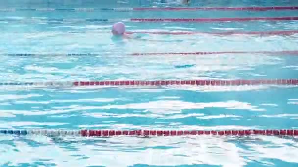 Moszkva, Oroszország, 2019. február 16.: Aktív emberek úszni szabadtéri a sport-medence Chayka télen. Medence a szabadban medence télen. Férfiak és nők úszni mellúszás-stílusban — Stock videók