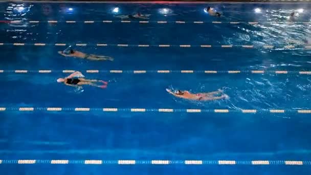 Les personnes actives nagent en plein air dans une piscine sportive en soirée d'hiver. Nager dans le bassin en plein air en hiver. Hommes et femmes nagent dans le style brasse — Video