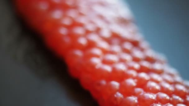 Red Caviar sfondo piatto nero suggestivo fuoco. Piatto nero di caviale di salmone da primo piano. Una delizia. Uova di pesce fresche uova in placenta Texture di caviale. Frutti di mare sani . — Video Stock