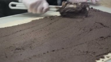 Olay: hamur levha cose üzerine tarçın ile dolum smeets uydurmak. Tarçın rulo imalatı. Pastane. İştah açıcı tarçınlı çörek yapışkan buns 