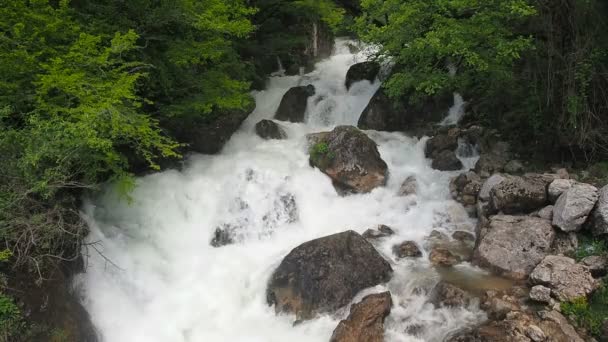 瀑布在潮湿的热带森林中。一条山河的狂风暴雨。森林里美丽的瀑布。纯净的水从山上掉了下来。一个充满喷雾的慢动作的尖峰风暴流 — 图库视频影像