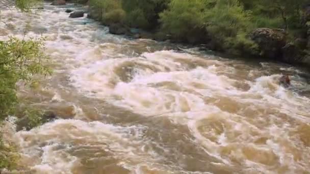 荒れ狂う山の川の美しい自然の急流。フラッシュ・フラッド泥だらけの川。速く流れる水の荒れた川を突入。自然災害嵐の茶褐色濁った水流 — ストック動画