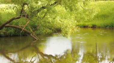 Yağmur ormanı içinden akan dere ile. Yağmur damlaları damla su Nehri daire içine