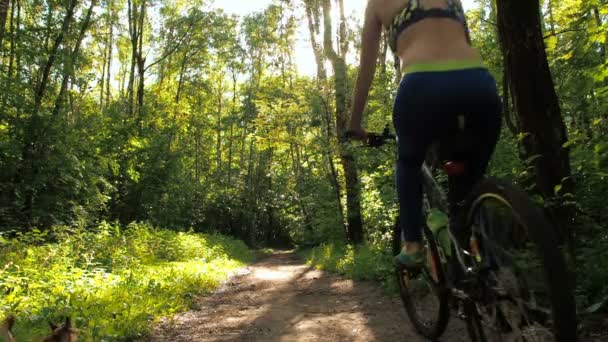 Dziewczyna na rowerze w parku. Młoda dziewczyna sportowa, jazda na rowerze w lesie — Wideo stockowe