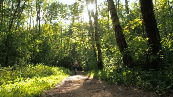 Lány a parkban a kerékpár. Kerékpározás az erdő fiatal sportos lány — Stock videók