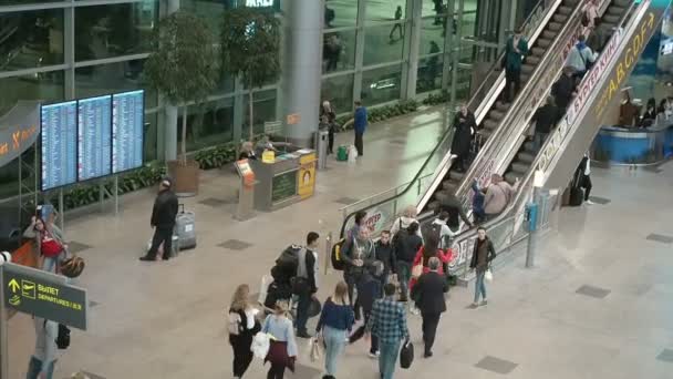 Moscou, Rússia - 6 de maio de 2019: Pessoas no Aeroporto Internacional Domodedovo. Registo de passageiros no voo. As pessoas caminham com carrinhos e bagagem ao redor do aeroporto — Vídeo de Stock