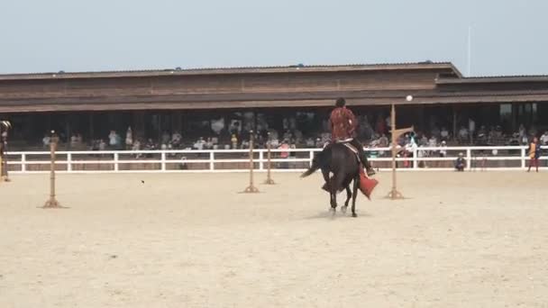 Moskova Bölgesi, 29 Temmuz 2019: Avrupa Ortaçağ Festivali. Ortaçağ mızrak dövüşünün yeniden inşası. Binici yeteneklerini at sırtında test ediyor. Bir şövalye atını bir eğim avlusuna sürmeye çalışıyor. — Stok video